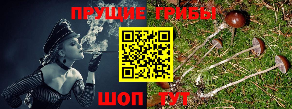Галлюциногенные грибы Cubensis Магнитогорск