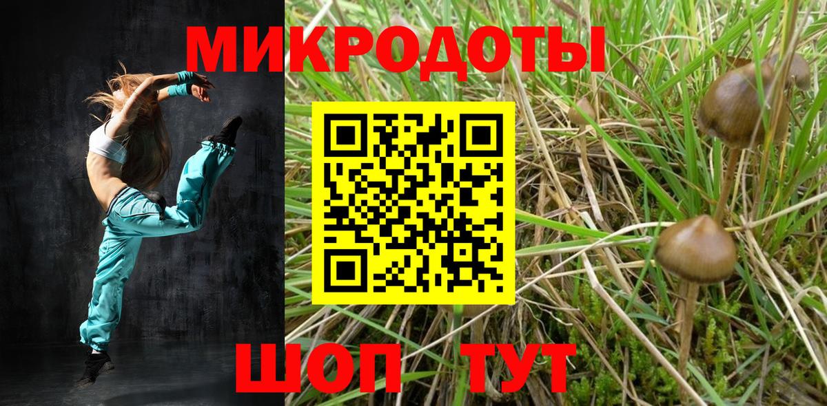 Магнитогорск  Псилоцибиновые грибы мухоморы  Галлюциногенные грибы GOLDEN TEACHER  Вход с VPN 